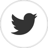 Twitter logo linking to the APGRD's Twitter account